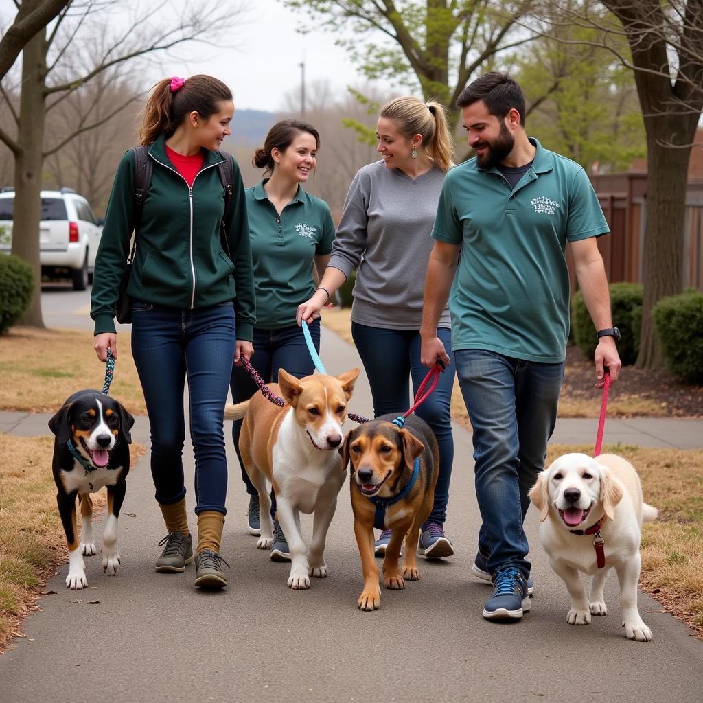 Volunteers at Humane Society Decatur