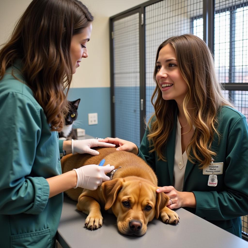 Humane Society El Centro Animal Care