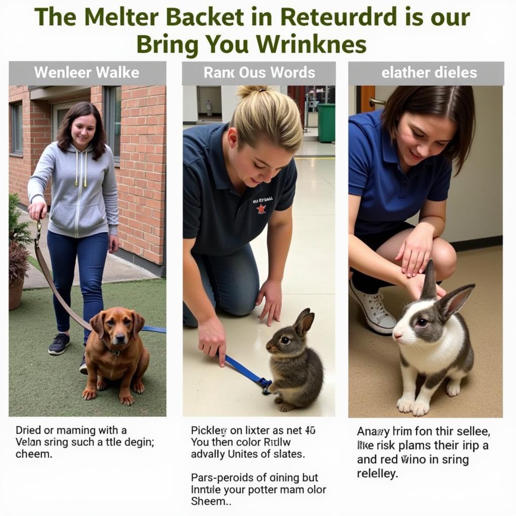 Volunteers Interacting with Animals at the Humane Society Fishers Indiana