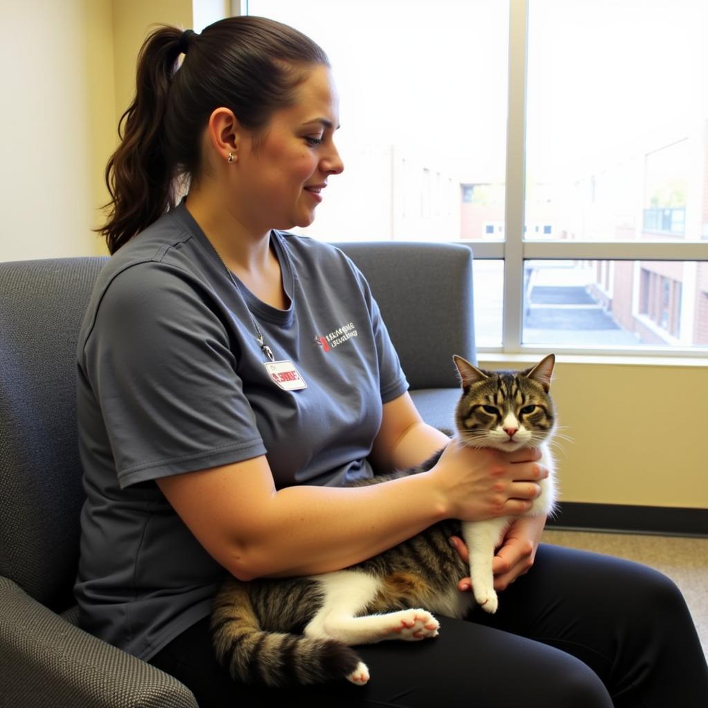 Volunteer cuddling a content cat at Humane Society of Gastonia