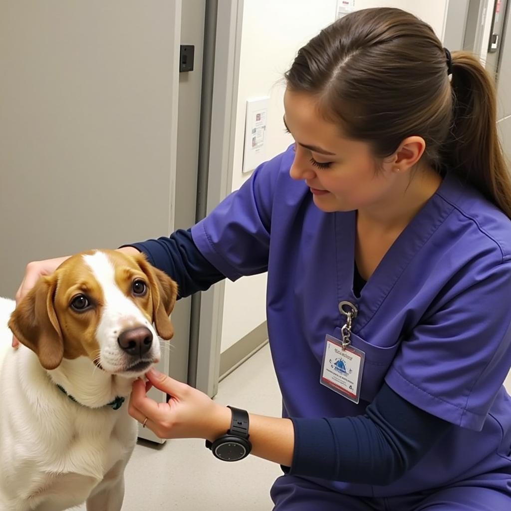 Animal Care at Humane Society Gautier MS