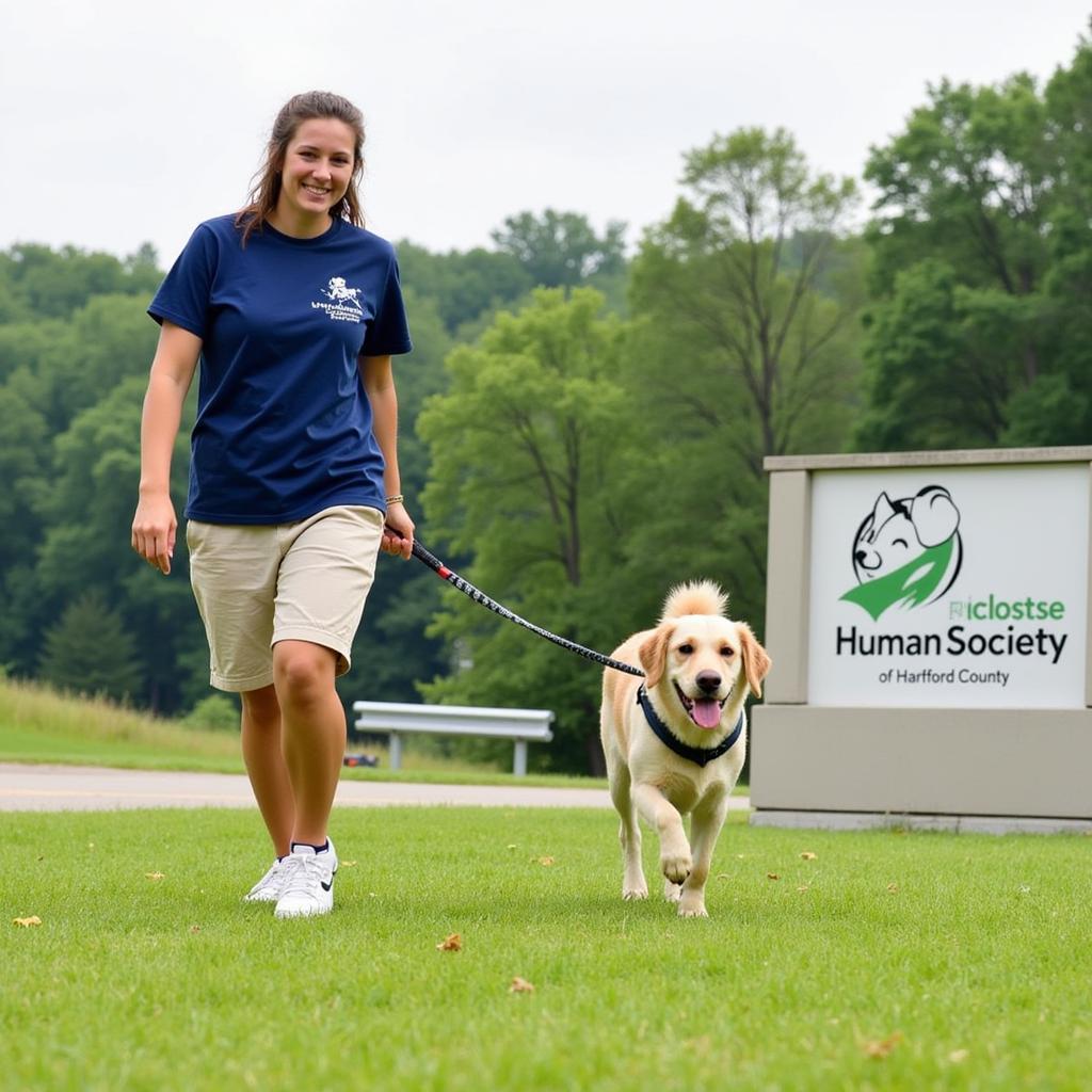 Volunteer walking a dog at the Humane Society of Harford County