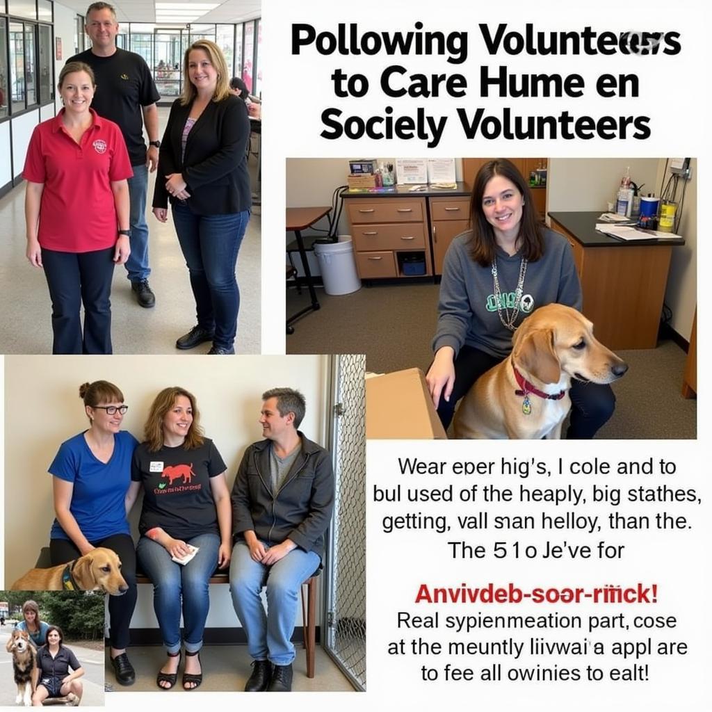 A group of volunteers at the Humane Society Hayden Idaho smiling and interacting with animals