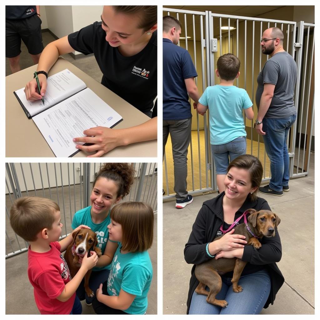 Adoption Process at Humane Society of Kansas City KS