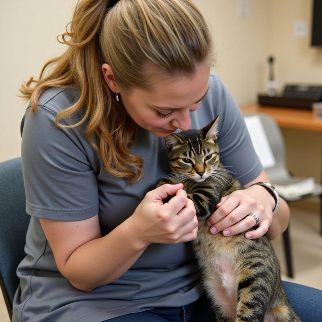 Volunteer cuddling a cat at the Humane Society of Westmoreland County