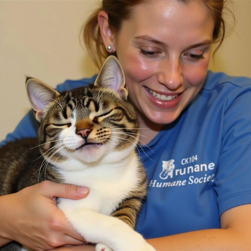 Volunteer cuddling a cat at Humane Society-Middletown Inc.