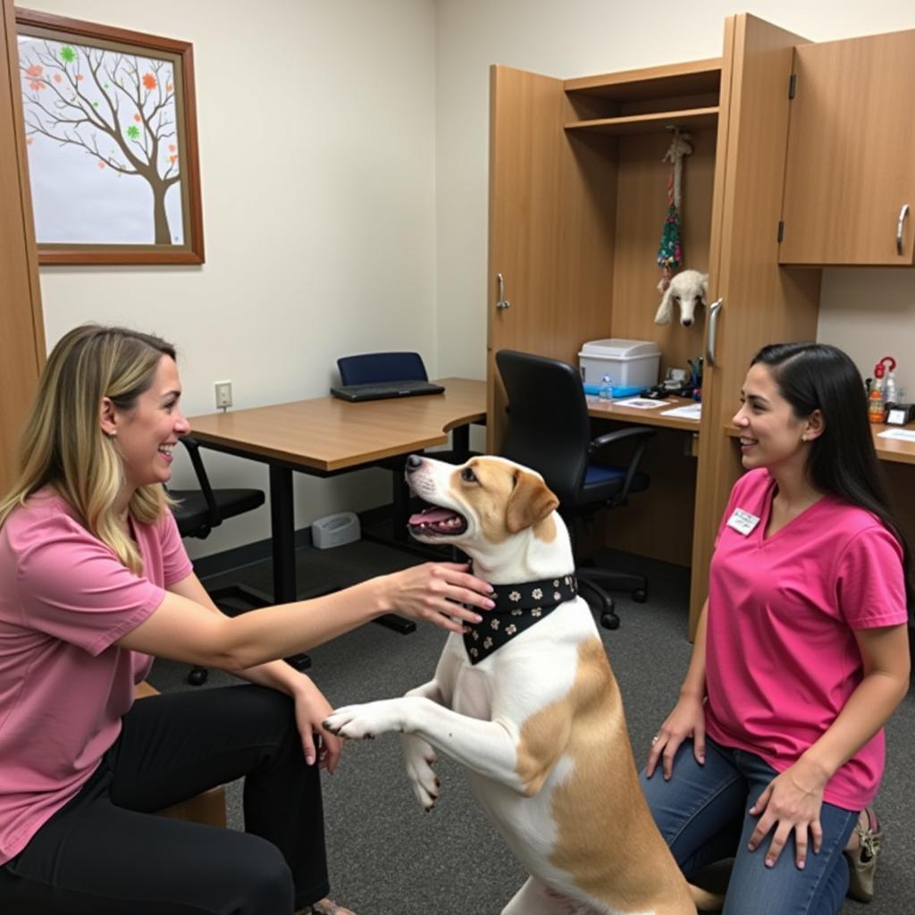 Couple meeting a dog at Humane Society Murrieta