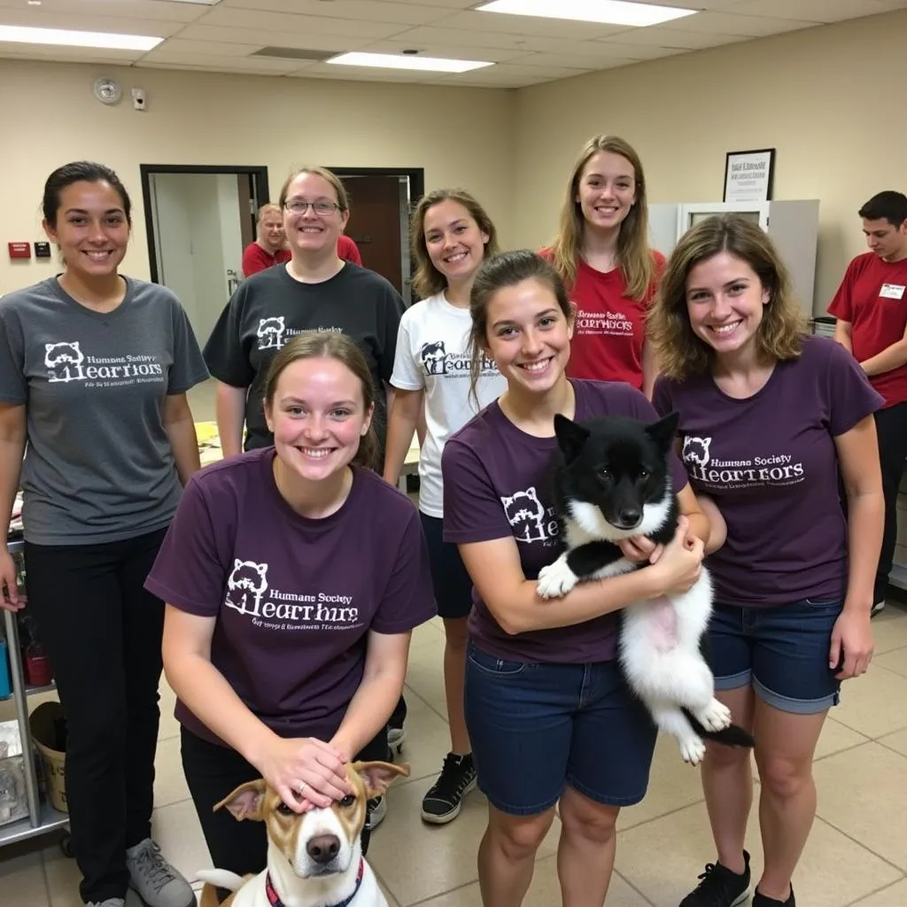 Volunteering at Humane Society for Greater Nashua