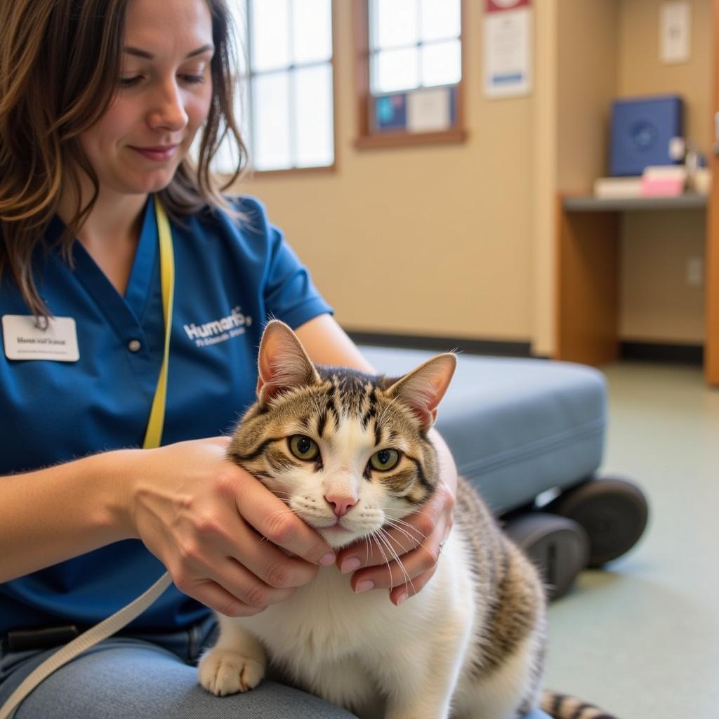 Compassionate Animal Care at Humane Society Neillsville