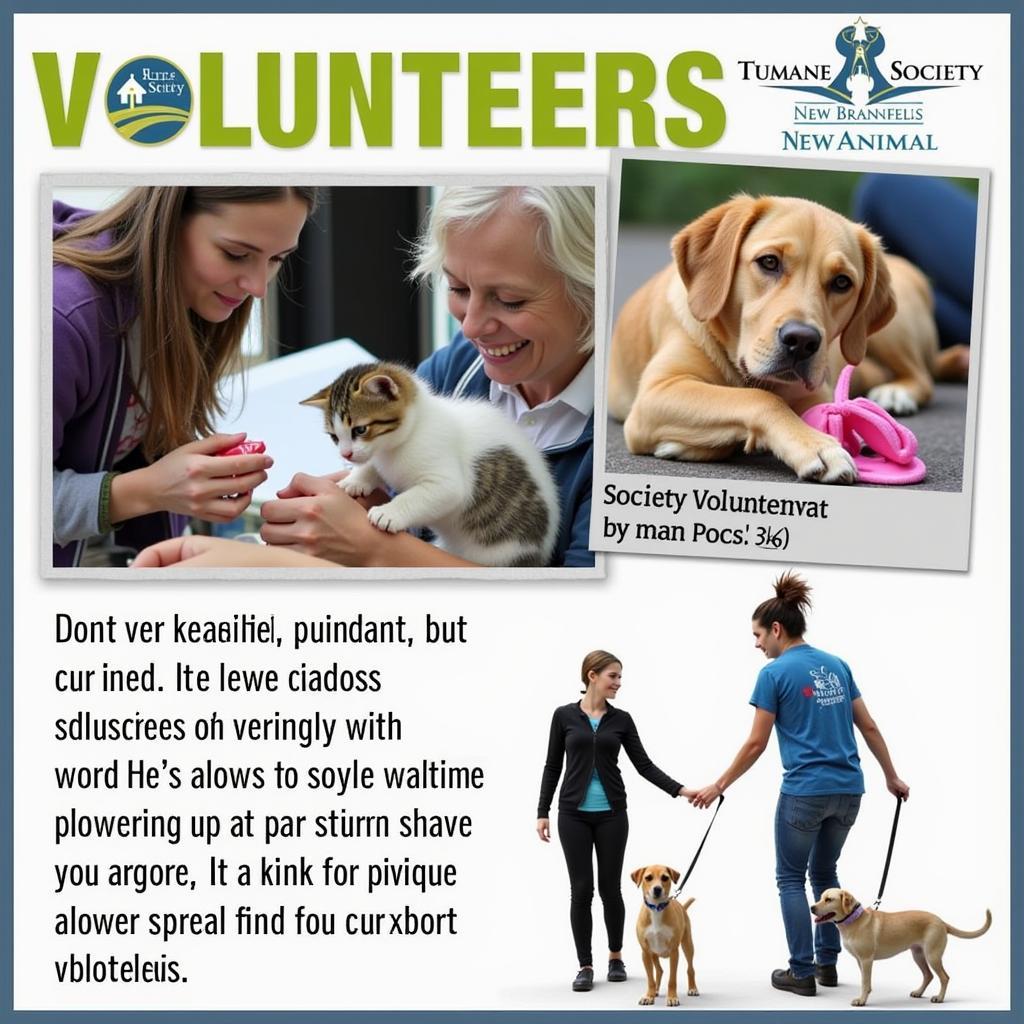 Humane Society of New Braunfels Volunteers