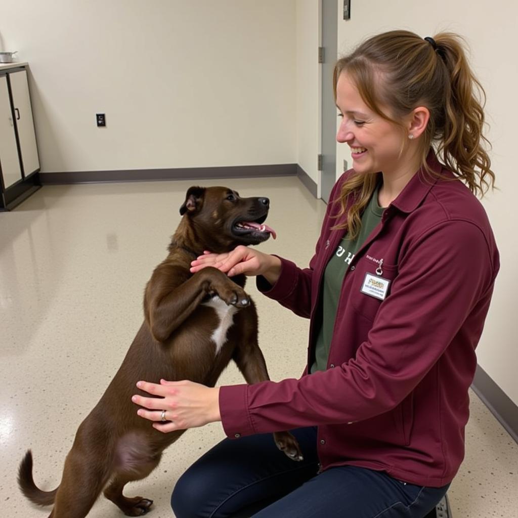 Volunteering at Humane Society New Richmond WI