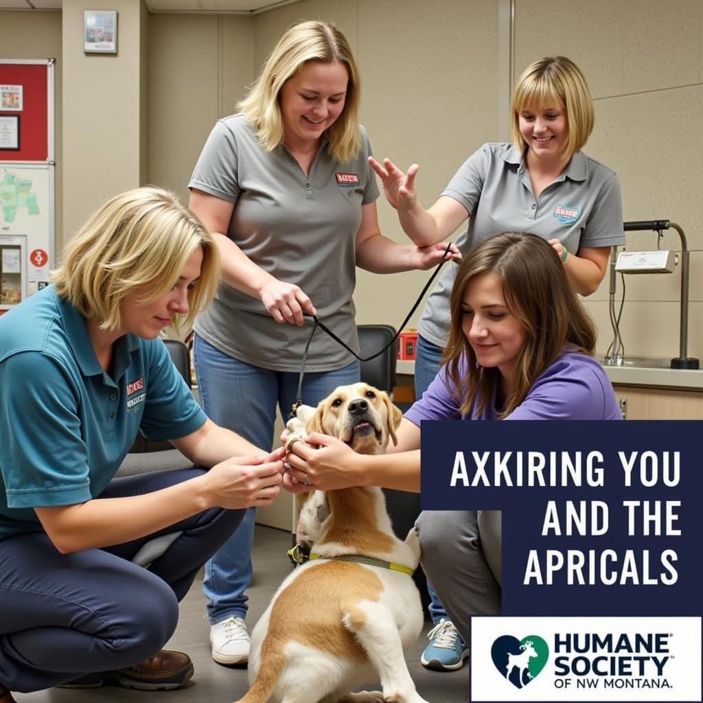 Volunteers at the Humane Society of NW Montana