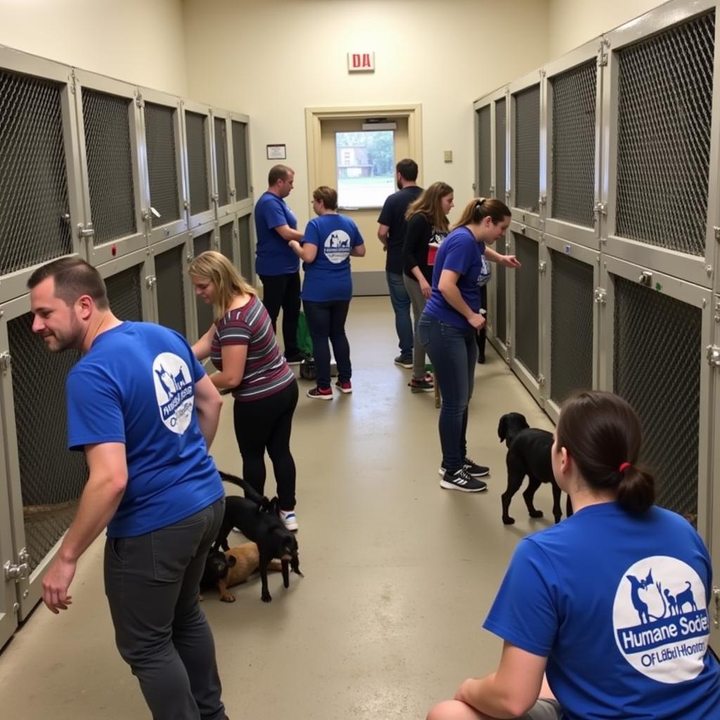 Humane Society of Portage County Volunteers