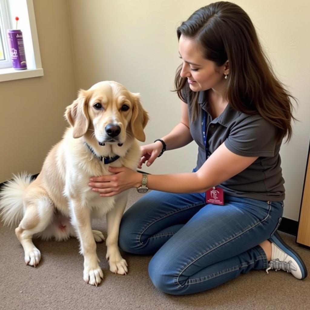 An adoption counselor at Humane Society Prescott guiding a family.