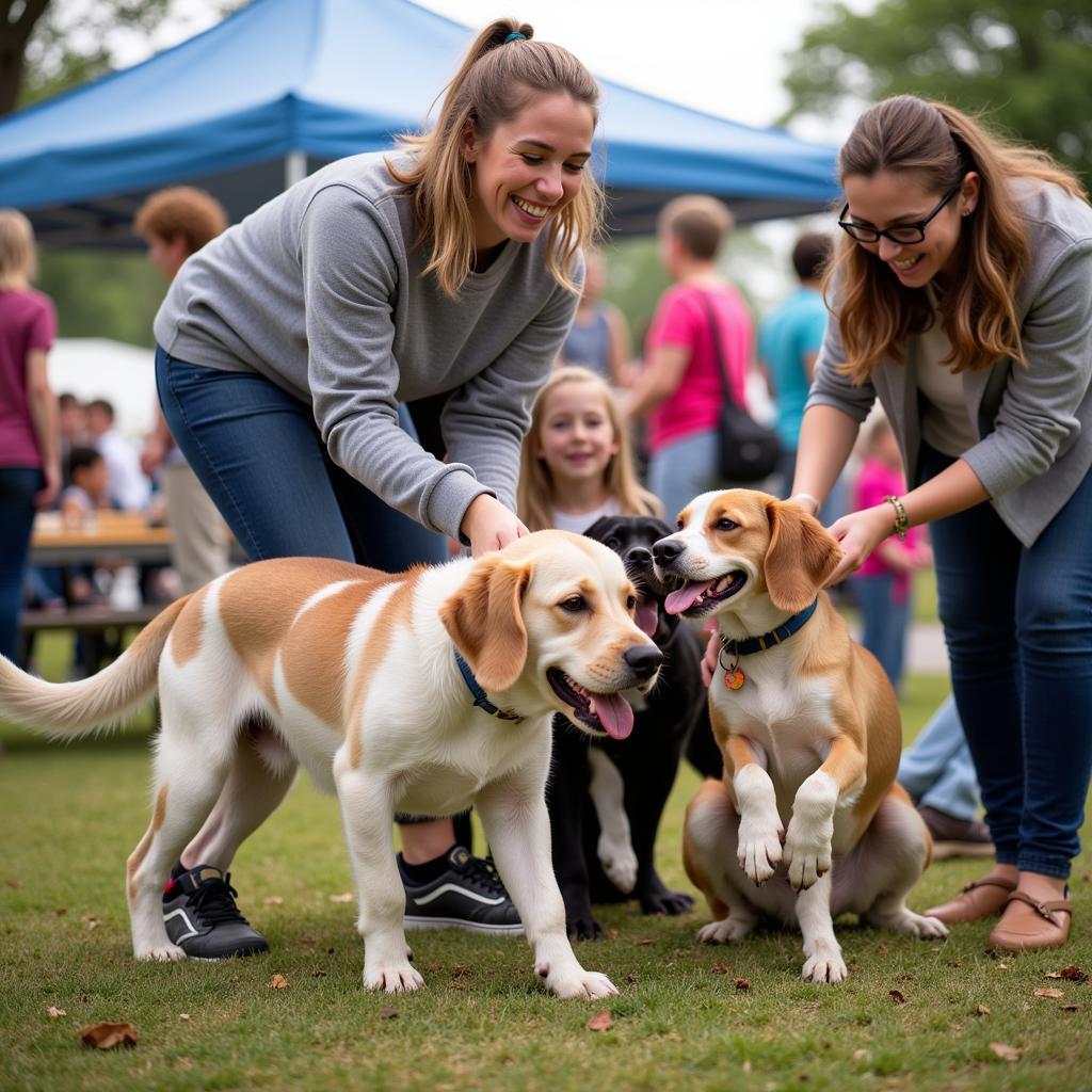 Adoption Event at the Humane Society