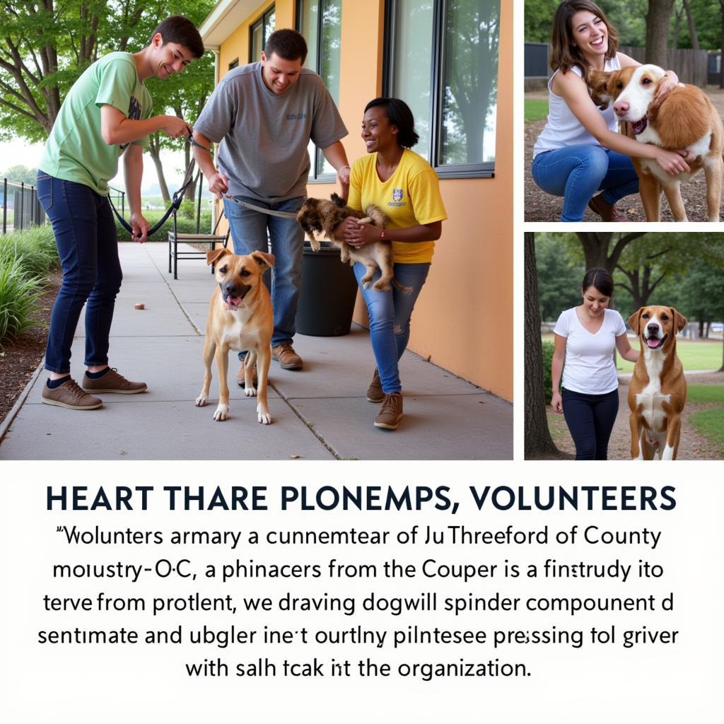 Volunteers at the Humane Society