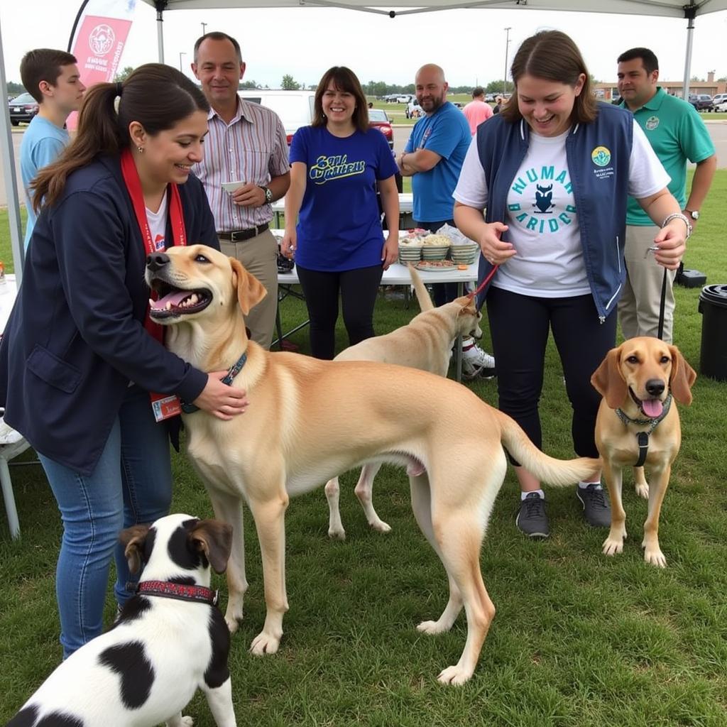 Finding Forever Homes: Saginaw Humane Society Adoption Event