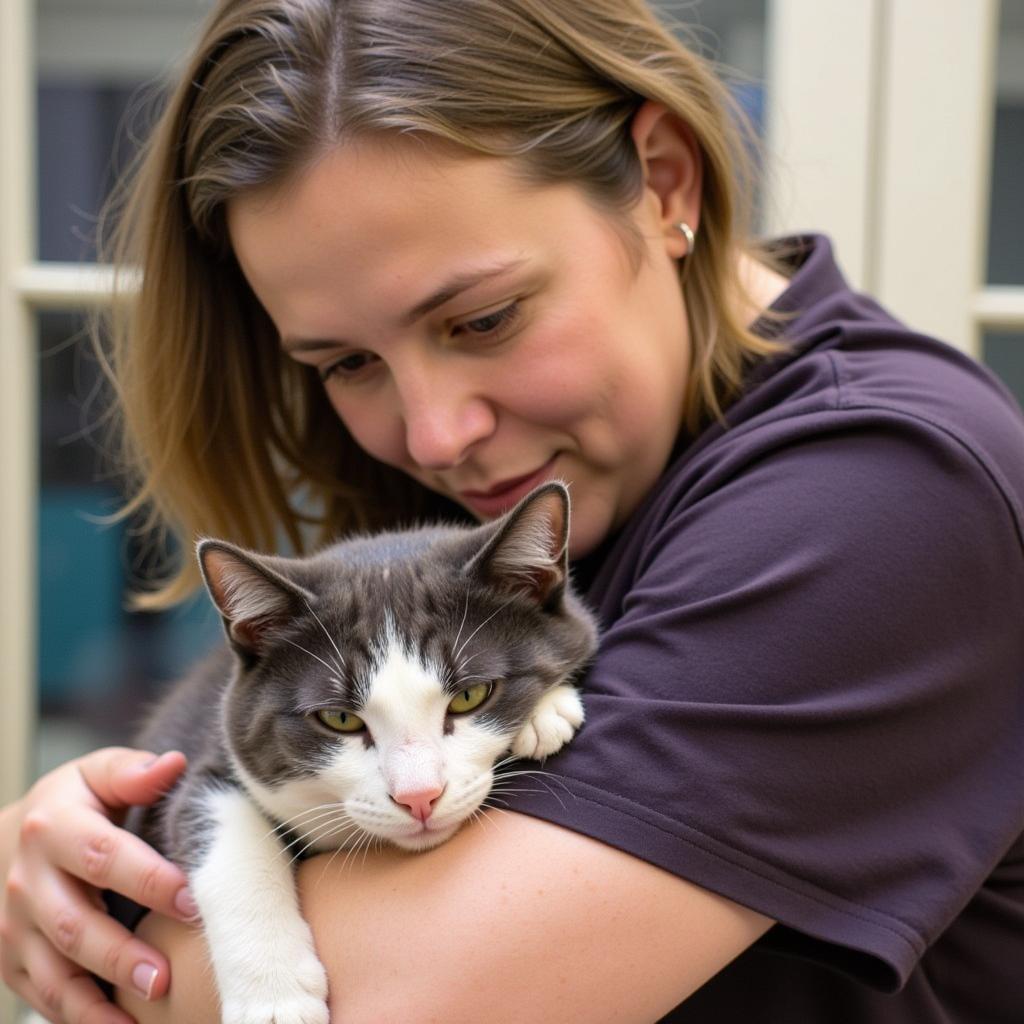 Volunteer comforting a cat at the Humane Society of Sedona