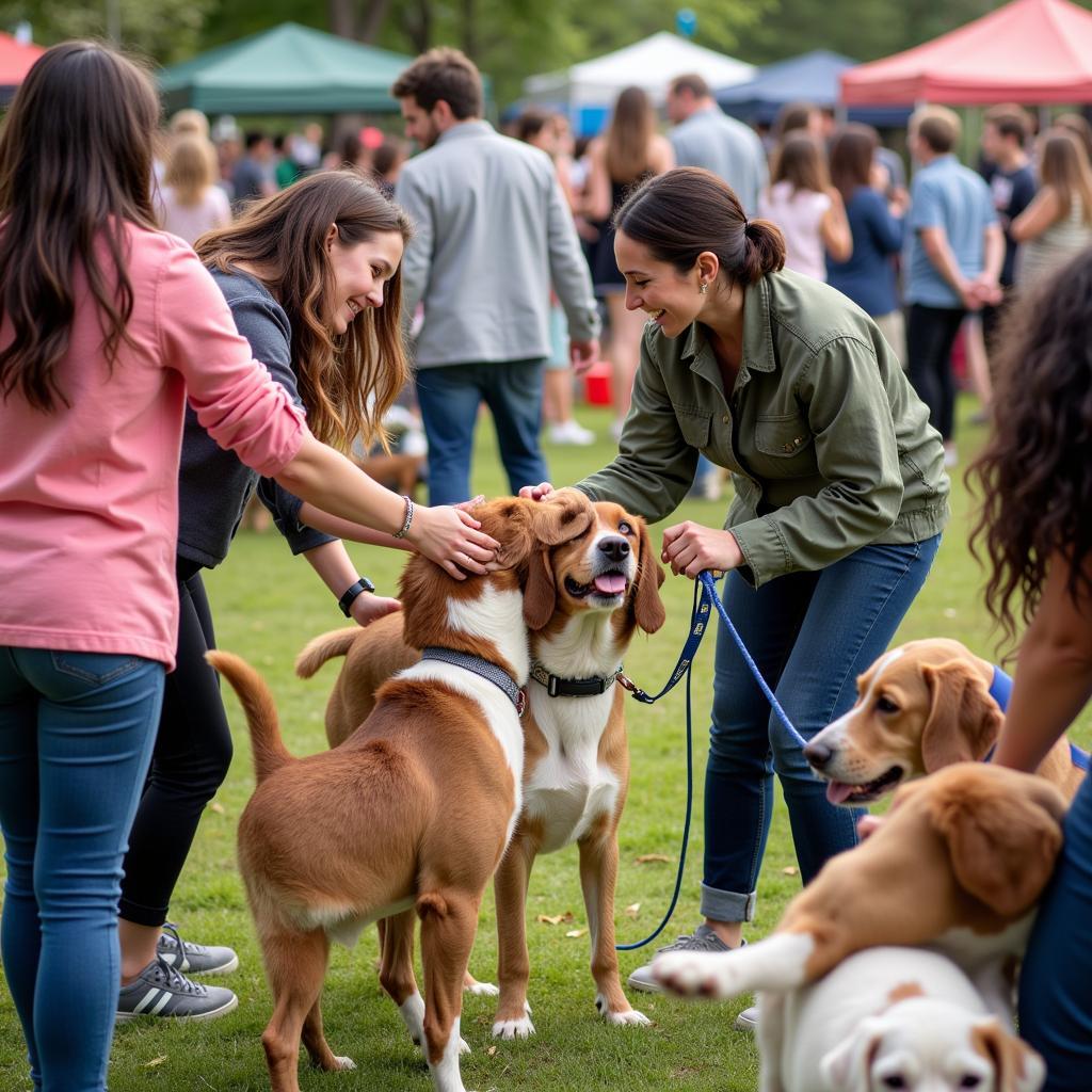 HSSM Adoption Event