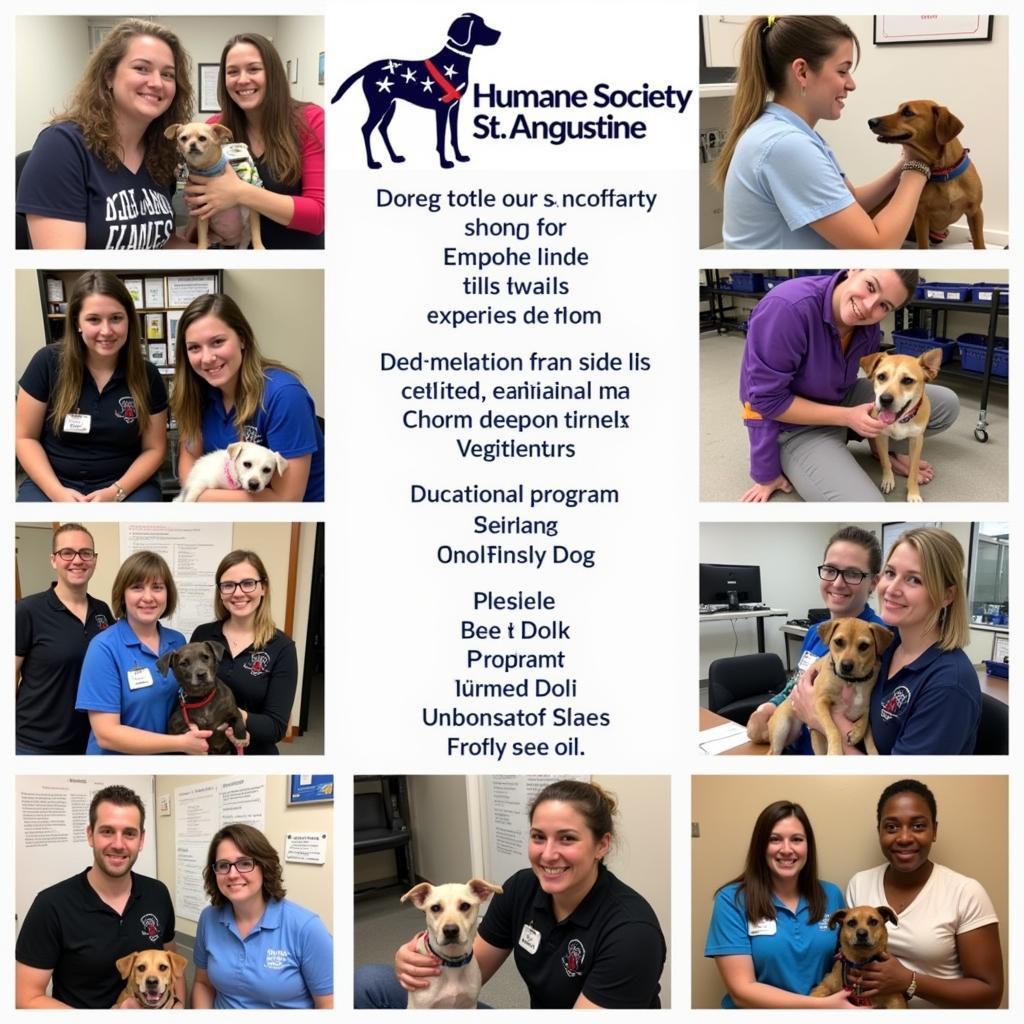 Humane Society St Augustine Services Provided