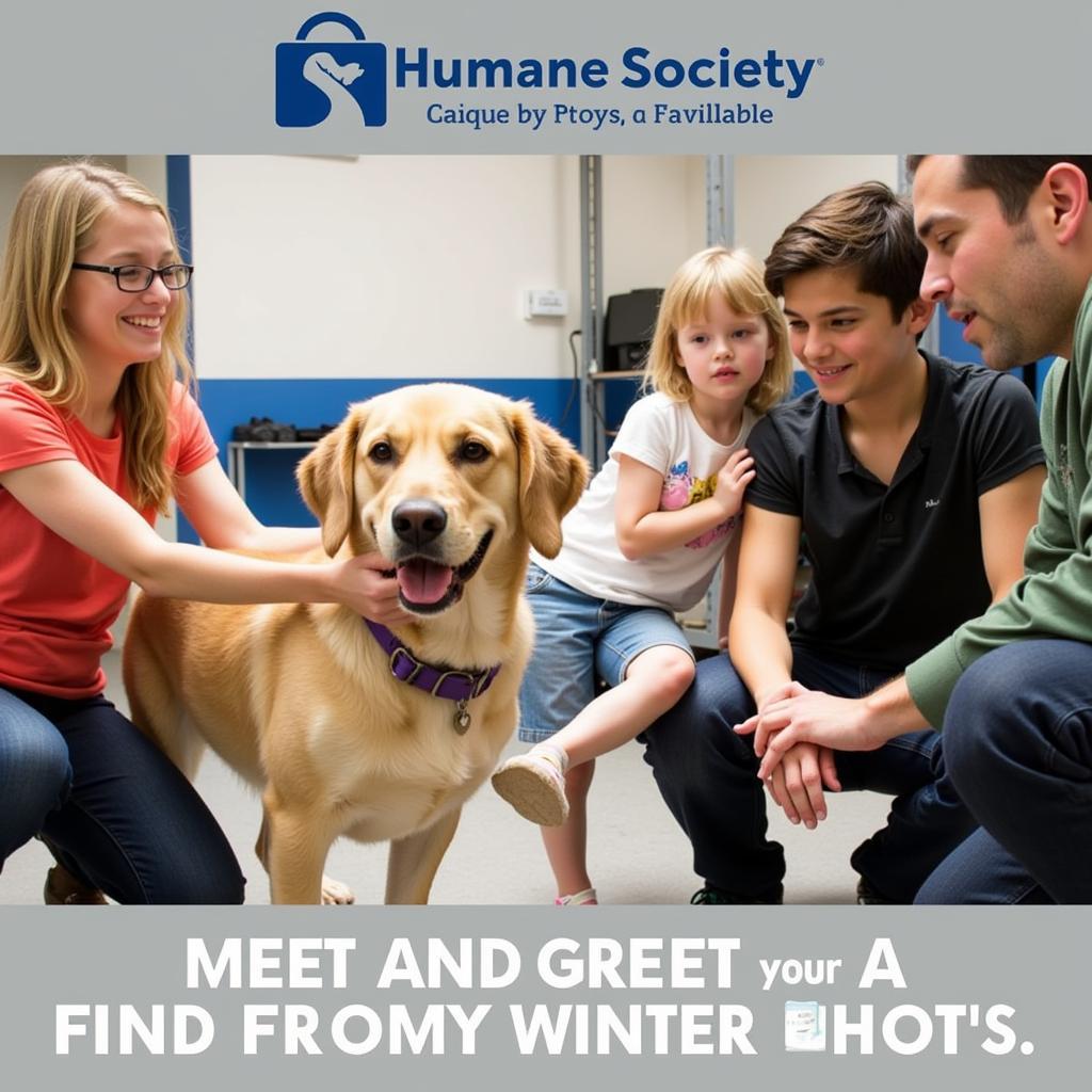 Humane Society Adoption Process