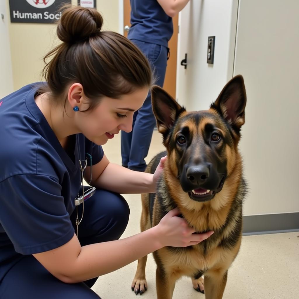 Humane society staff comforting a dog