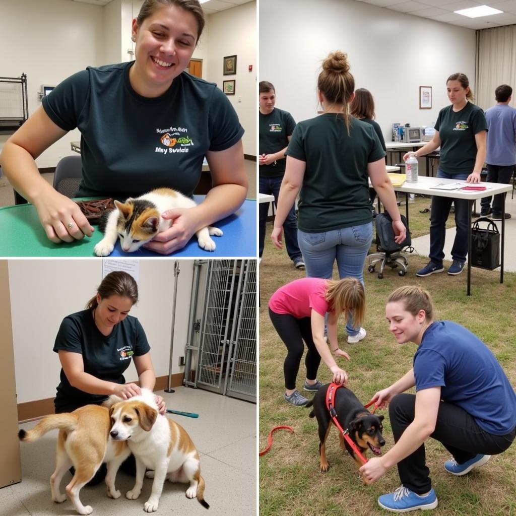 Humane Society of Stanly County Volunteers Caring for Animals