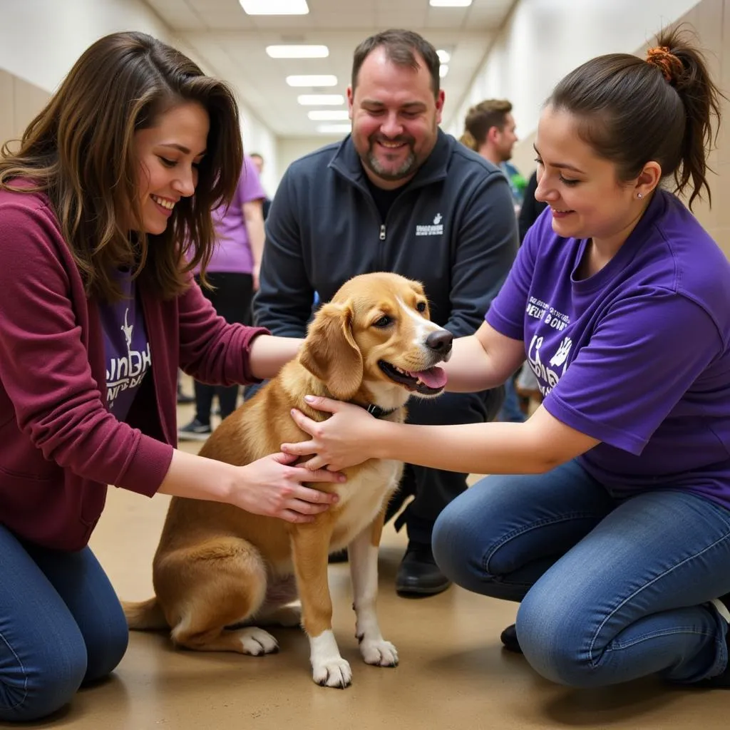 Volunteer event at Humane Society Sunny Slope