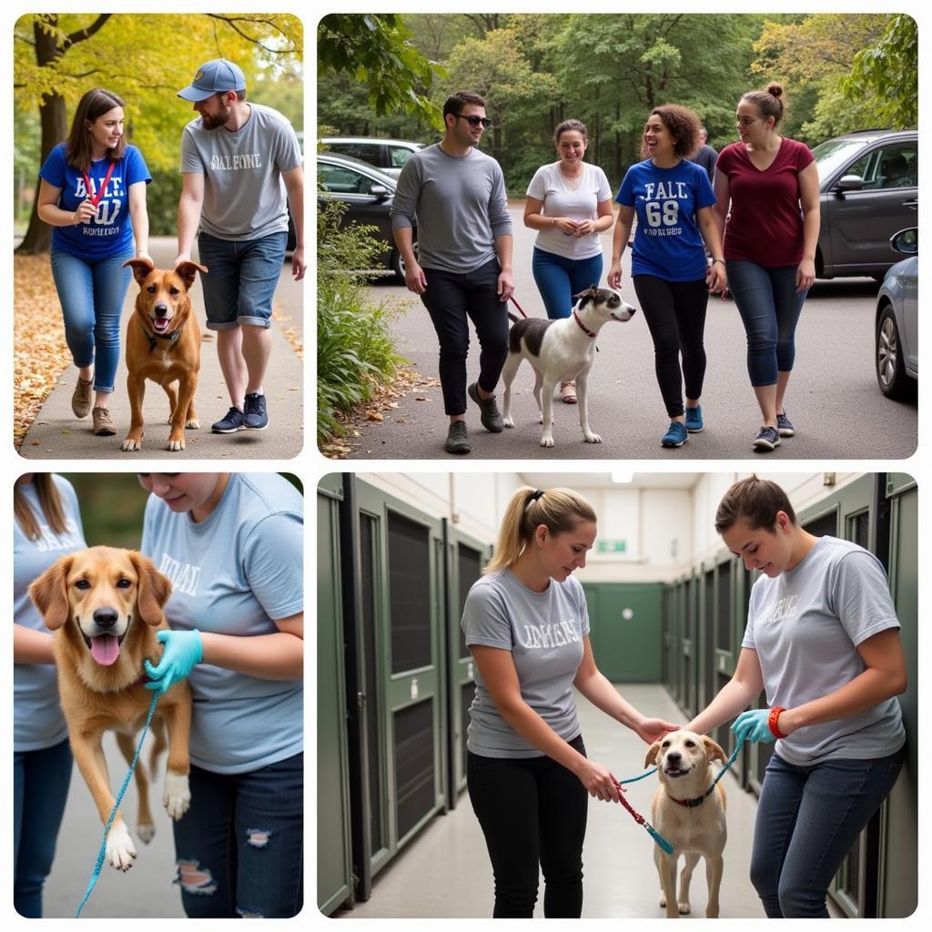 Volunteering at Humane Society The Dalles