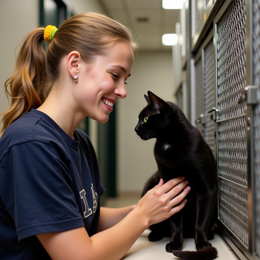 Volunteer Comforting Cat at Shelter