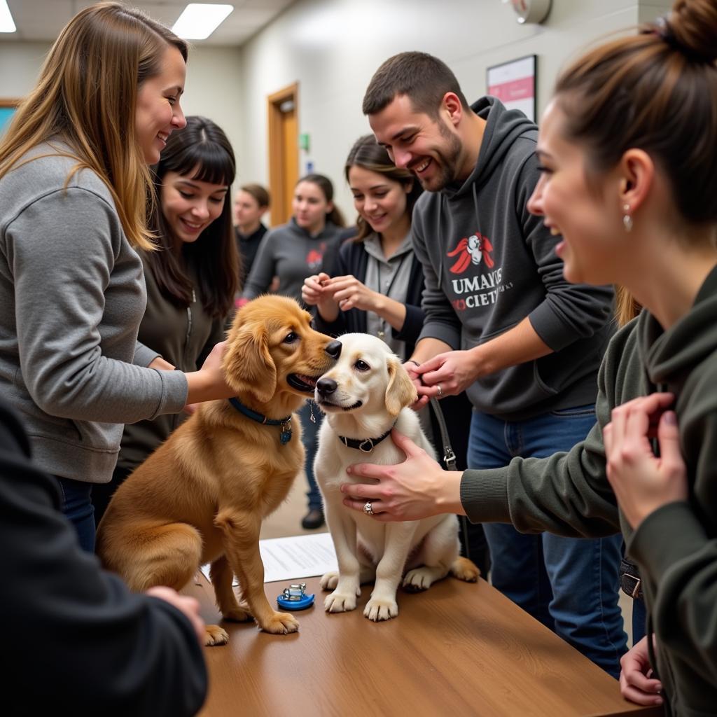 Humane Society of Warren Adoption Event