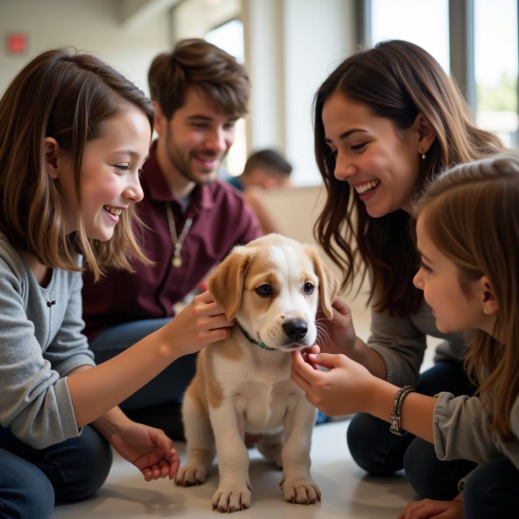 Finding Hope and Help at the Humane Society Wayne MI