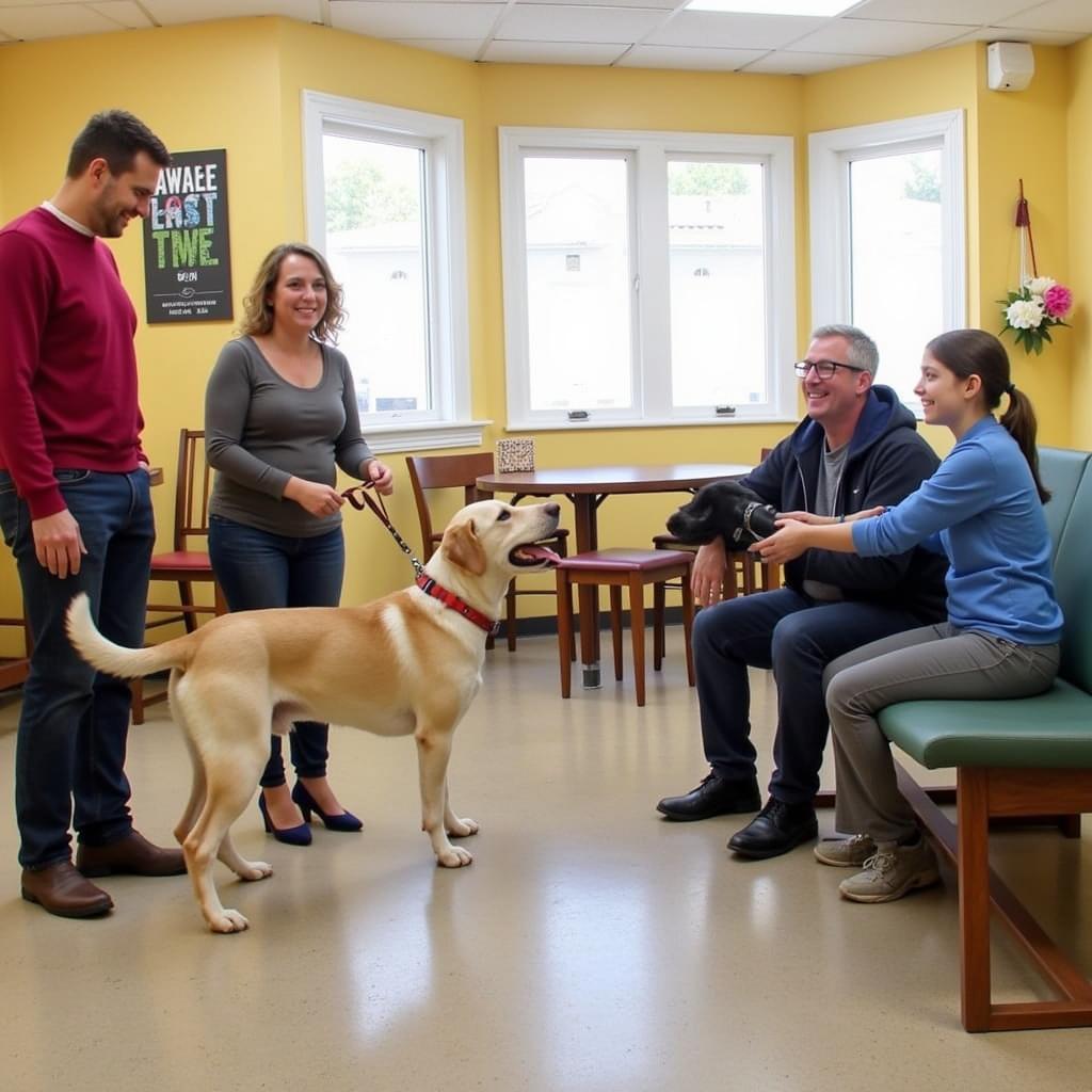 A family interacts playfully with a happy dog in a bright, welcoming room at the Humane Society of West Alabama