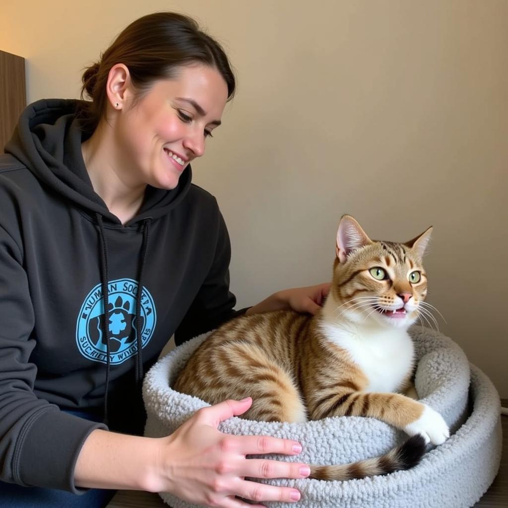 Volunteer Comforting Cat at Humane Society Winona