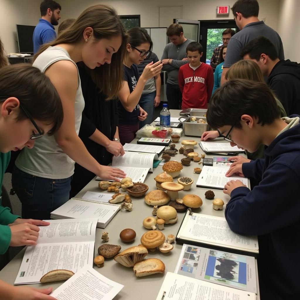 Participants at a Humboldt Bay Mycological Society workshop learning to identify different mushroom species.