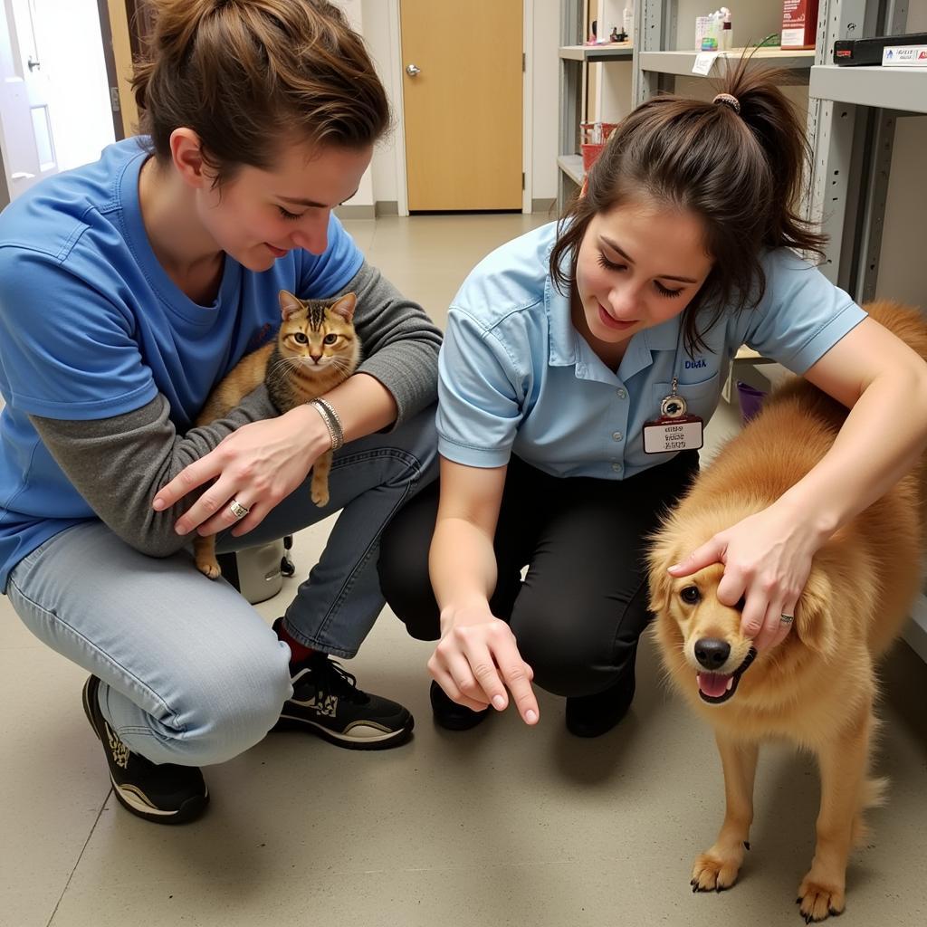 Incline Village Humane Society Volunteers Caring for Animals