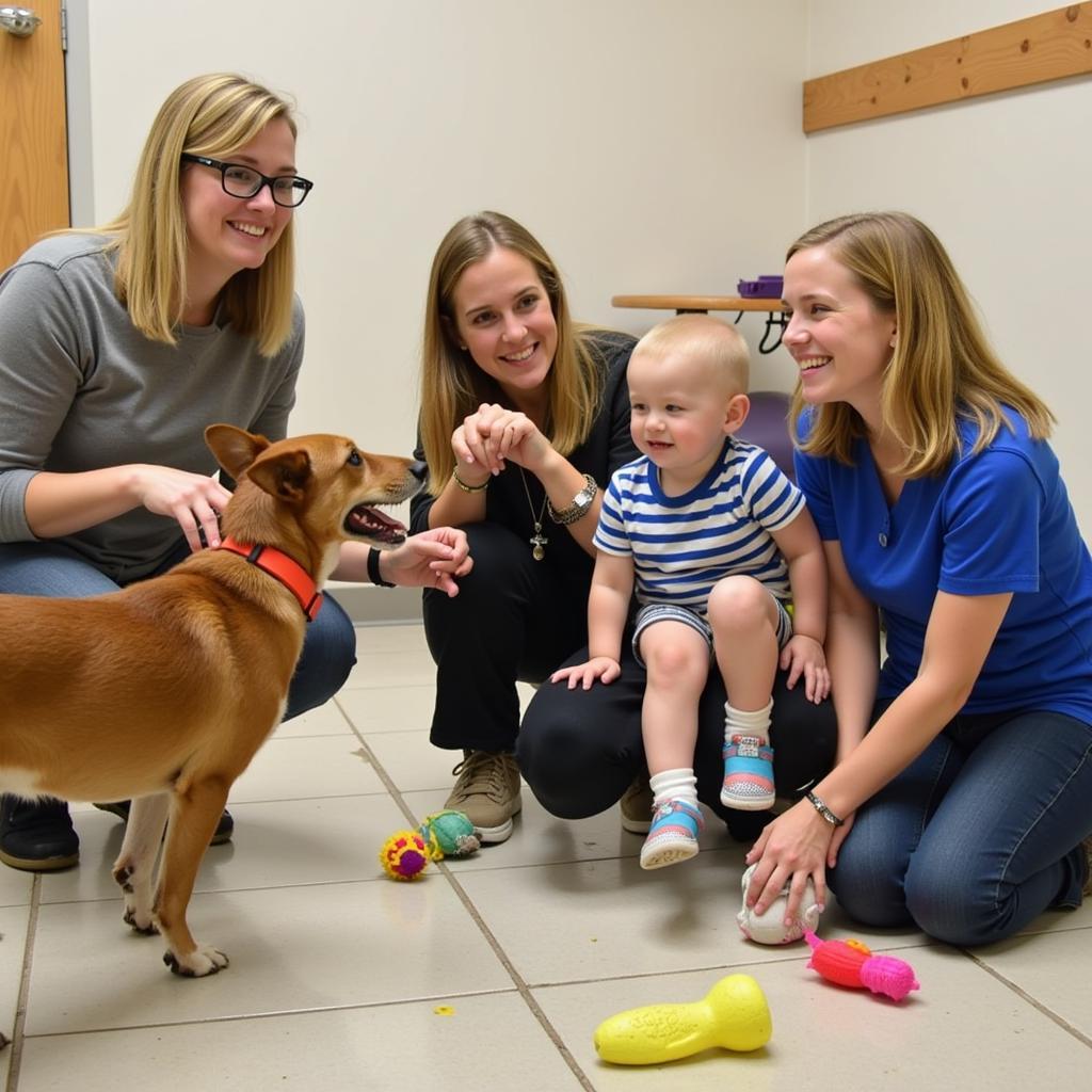 Family meeting a dog at the Jackson County Humane Society