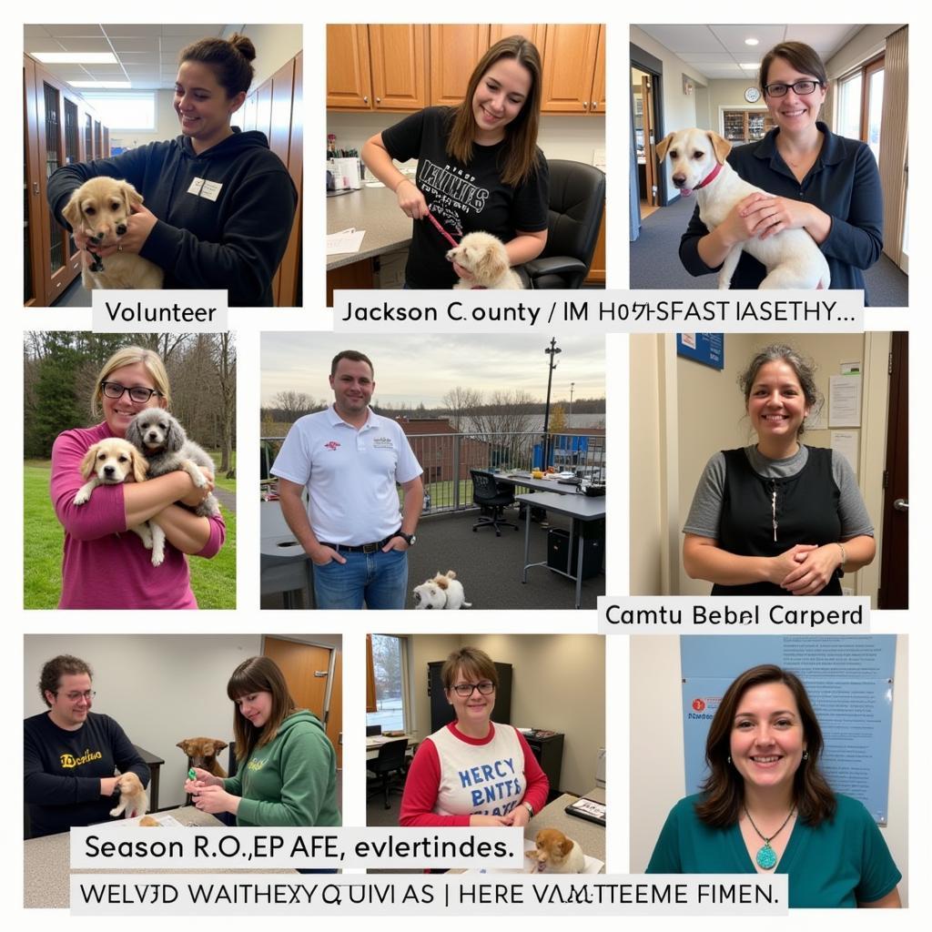 Volunteers at the Jackson County MI Humane Society