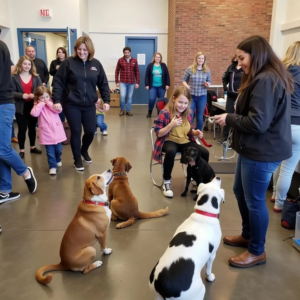 Dog adoption event at Jefferson Humane Society