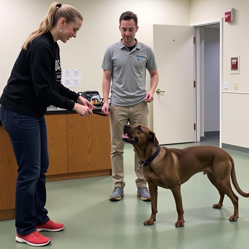 Dog Training at Kalamazoo Humane Society