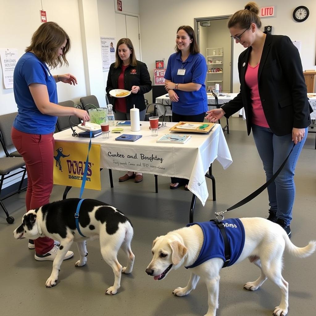 A captivating image highlighting the Kennebec Valley Humane Society's community involvement, potentially showcasing their participation in local events, educational programs, or partnerships with other organizations.