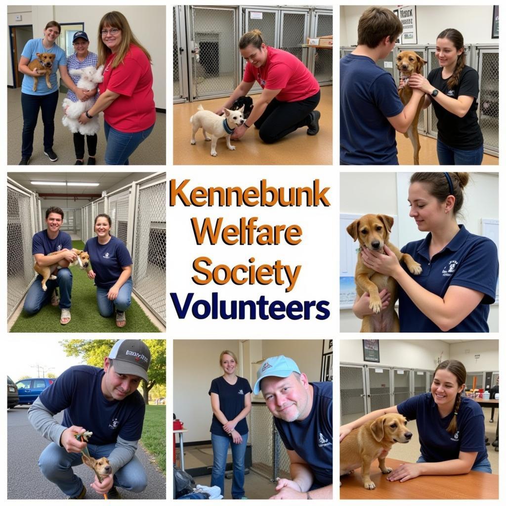 Kennebunk Welfare Society Volunteers