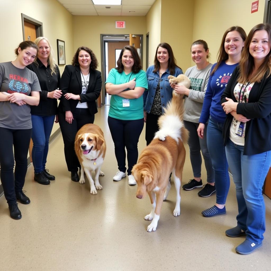 Volunteers at the Kern Humane Society Bakersfield