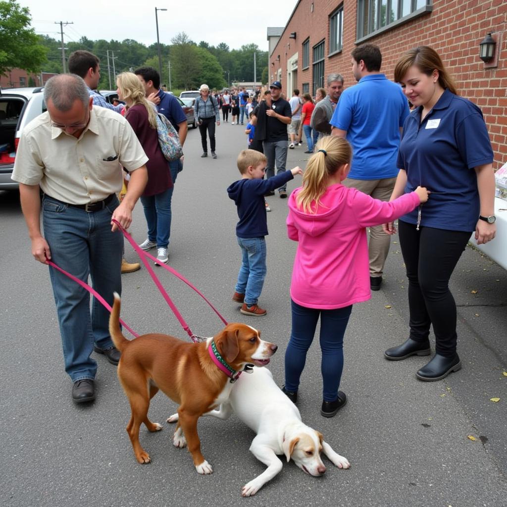 Kingsport Humane Society Adoption Event