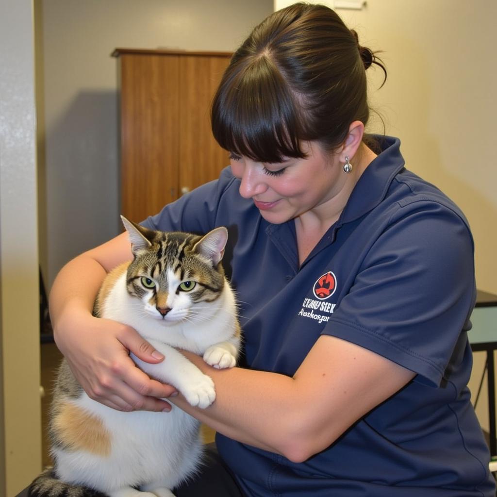 Volunteer cuddling a cat at Kitsap Humane Society Silverdale