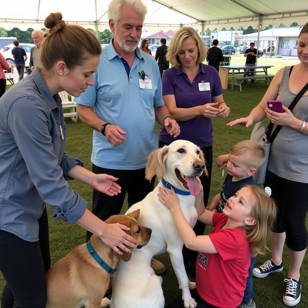 Finding Hope and Help at the Kiya Koda Humane Society in Indianola, IA