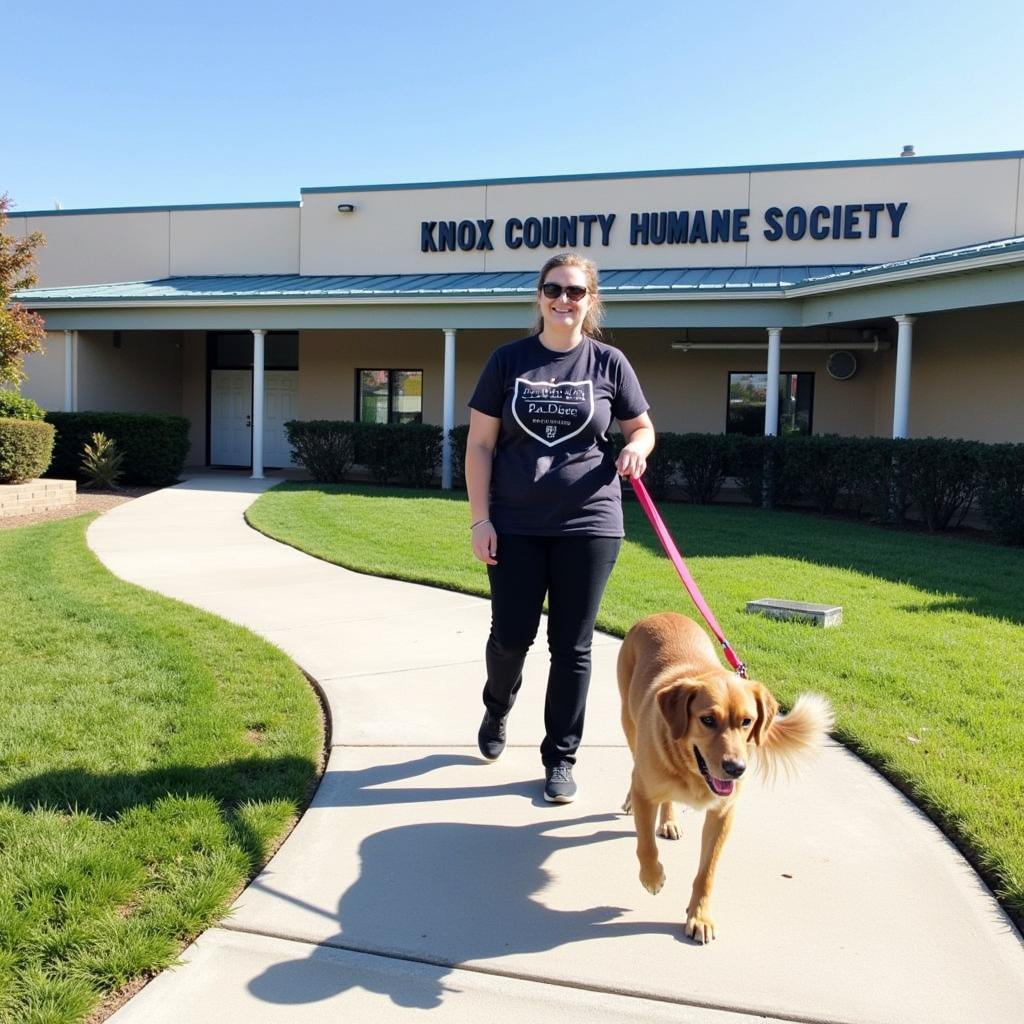 A volunteer walking a dog at the Knox County Humane Society.