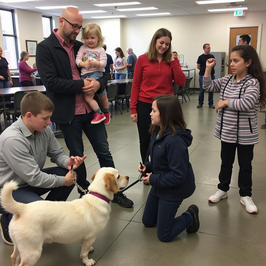 Adoption Event at Knoxville Iowa Humane Society