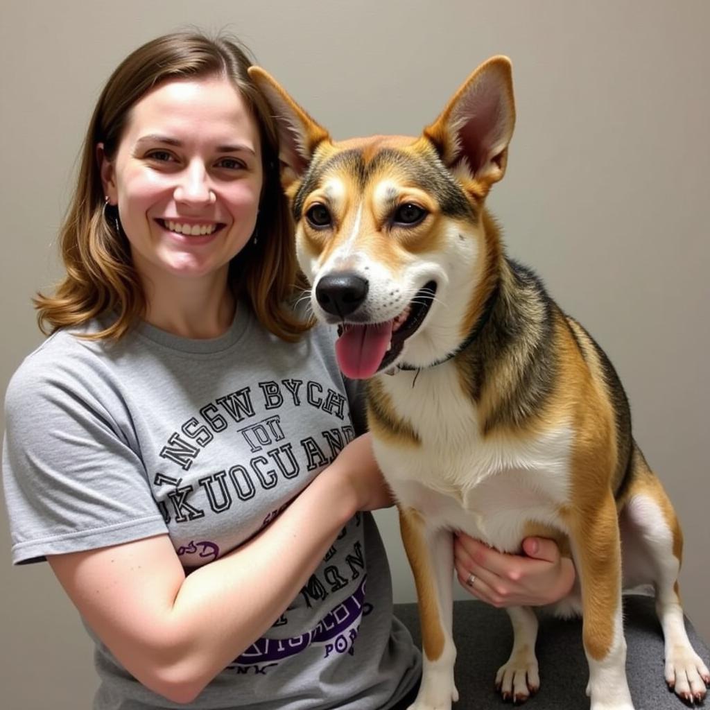 Volunteers interacting with cats and dogs at the shelter