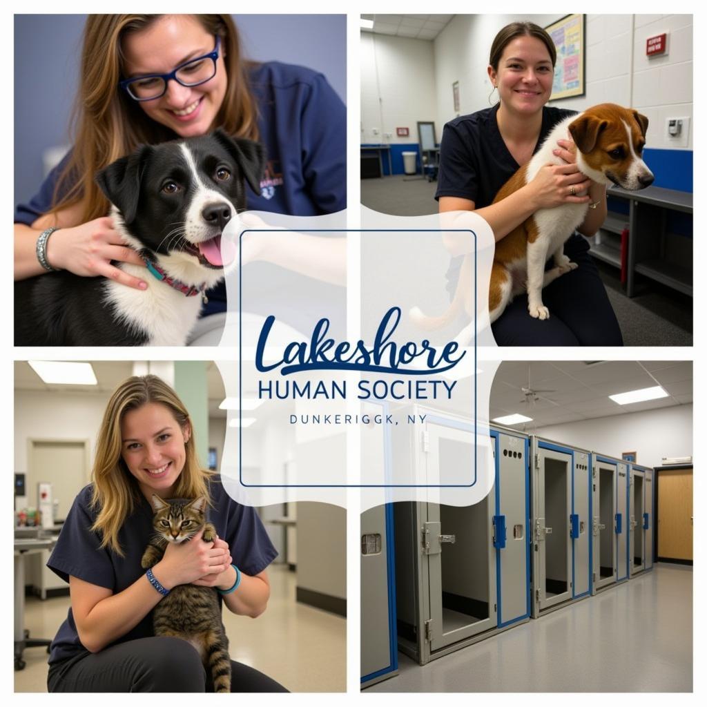 Animal Care at Lakeshore Humane Society Dunkirk NY